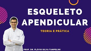 Esqueleto Apendicular: Teoria e Prática (Sistema Esquelético)