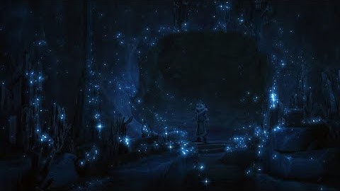 Introducing the HoloDeck