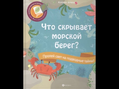 Видеообзор книги Что скрывает морской берег?