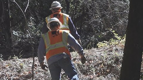 PG&E crews inspecting lines, working to restore power after shutoffs