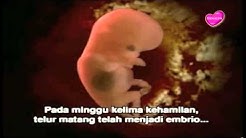 Tumbuh Kembang Janin - Durasi: 7.13. 