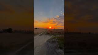 Sham da rang ❤️ #reelitfeelit #farming #reelsofinstagram #sunset #likeforlikes