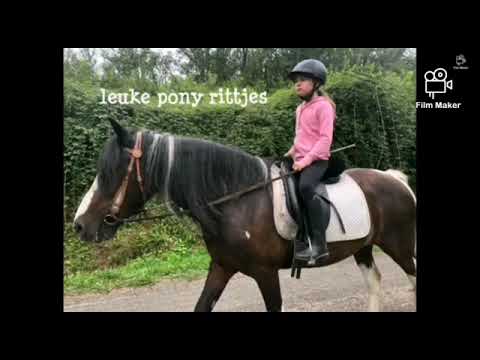 Video-thumbnail van Camping Domaine de La Velle