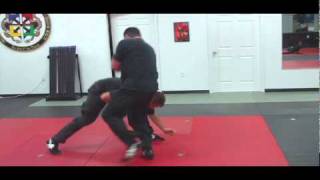 Krav Maga Self Defense Techniques - Punch Defense / Preemptive Strike