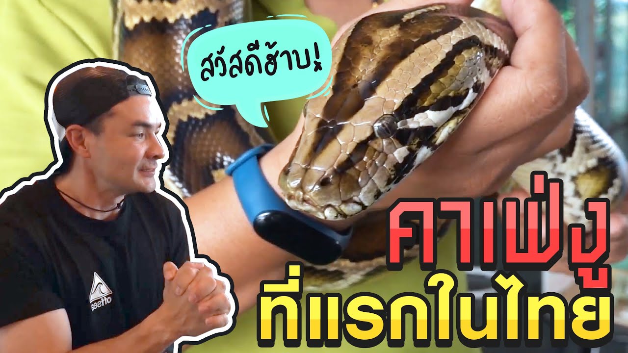 วันนี้ผมจะมาเอาชนะความกลัวของตัวเองครับ