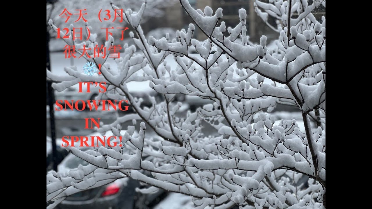 it's snowing in spring! #snowing# #CAPITAL snowing# #Snowflake# #cold ...