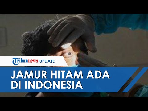 Video: Jamur Mematikan