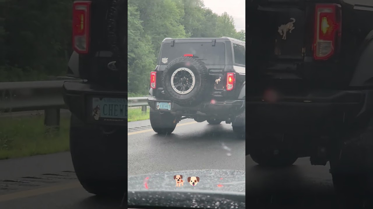 Custom Plates 518 #licenseplate #youtubeshorts #viralshorts #truck #ford #fordbronco #chewy #dogfood