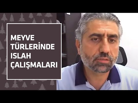 Video: Poliploidi Nedir: Çekirdeksiz Poliploid Meyve Yetiştirme