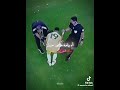 الف سلامه عليك يا إمام عاشور و يا رب تقوم بالسلامه