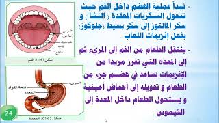 الصف التاسع العلوم - الدرس الثاني 2 تابع الجهاز الهضمي