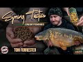Spring tactics at linear fisheries  carp fishing  dna baits  hardwick smiths  win 5kg of 8mm bug