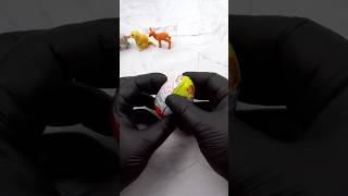 Asmr Natoons Kinder Surprise Egg Unboxing Animal Toy Inside No Talking