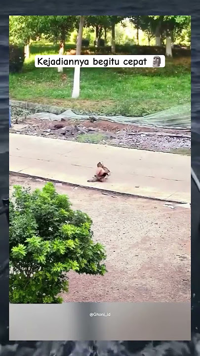 Ayam geprek 🗿 #shorts #shortsvideo #shortslucu #ayam #ayamlucu #chicken #fyp #fypyoutube