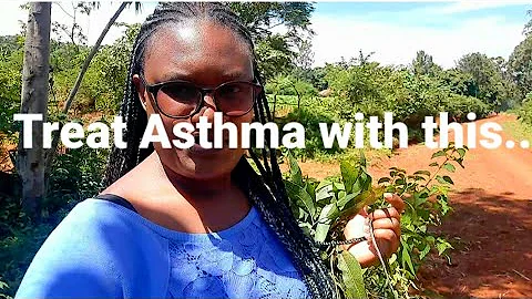 How to treat asthma and congestion at home//Traditional herbal medicine//African village life