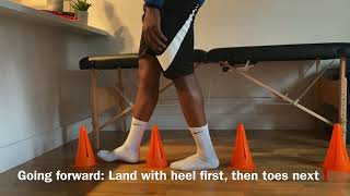 Step Overs - Forward & Reverse (Series of Cones)