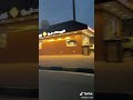 حبيبي العيشه جبارة حبيبي العيشه جبارة
