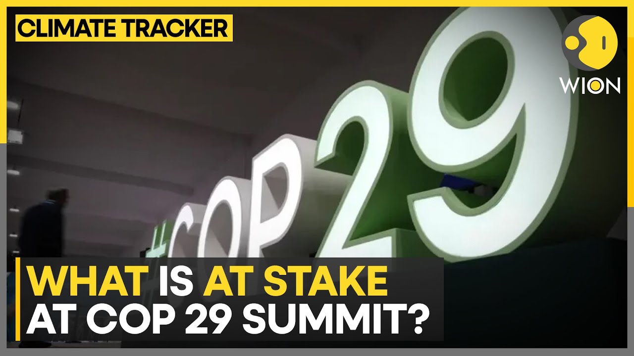 Can COP29 Provide Solution To Climate Change? | WION Climate Tracker ...