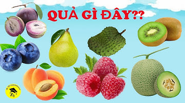 QUẢ GÌ ĐÂY 2 ? Dạy Bé các loại quả trái cây P2 🍇🍉🥑🍍 | #learningenglish #fruits