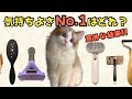 【猫ブラシNo.1はこれ！】素材別、人気ブラシ6種を比較！猫が選んだ1番気持ちいいブラシ♪｜あたち日記#13