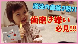 【2歳児 歯磨き】Brian（ブリアン）こども用パウダー歯磨き粉を試してみた、逃げ回っていた２歳児はどんな反応？