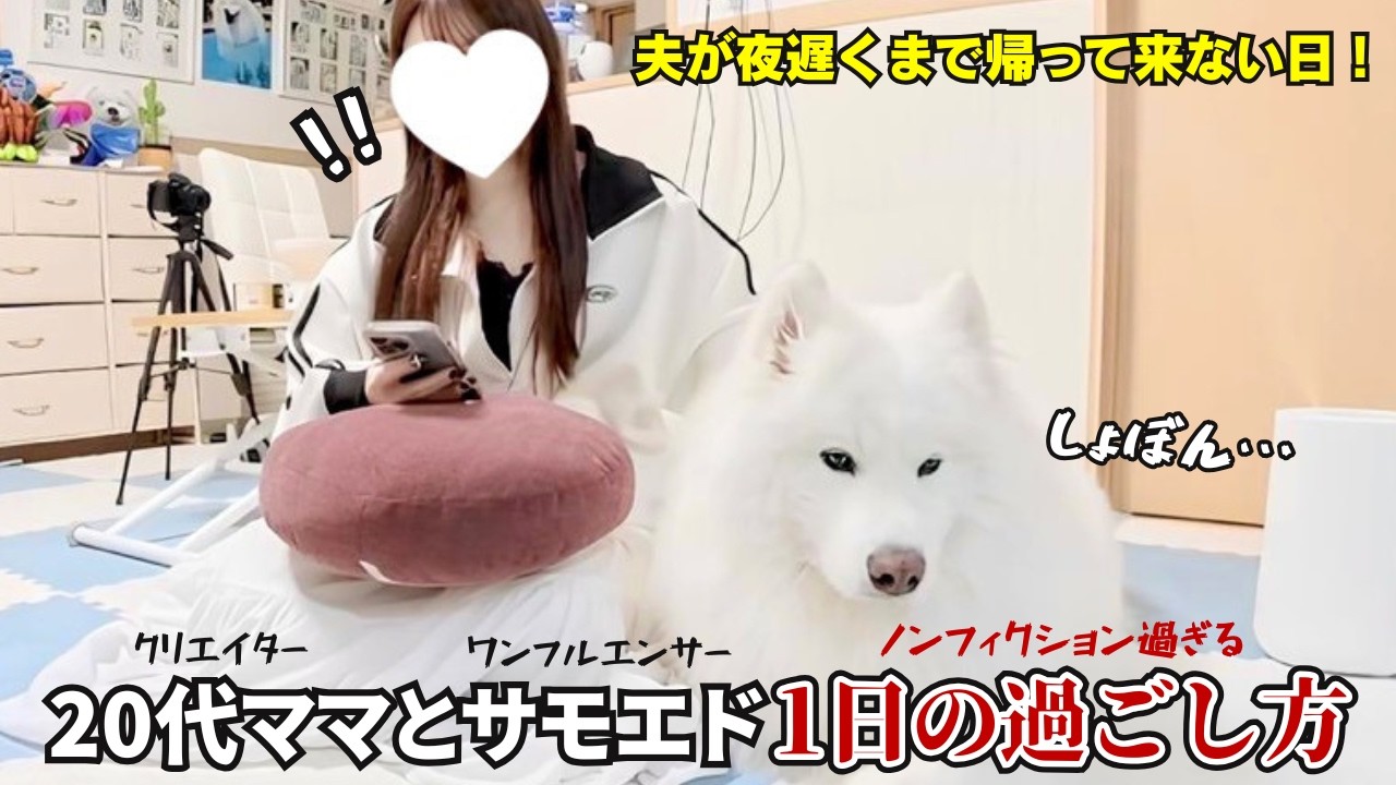1日パパが居なくて分かりやすく拗ねるサモエドが可愛すぎました… - YouTube