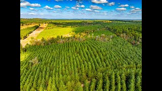 Famous Nacogdoches TX 122 69 Drone Net Worth