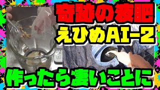 【液肥の作り方】えひめAI-2効果ない？ 証明します奇跡の発酵パワー　これ使ったら１日で作れるし 21/9/8