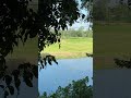 Blo to ki phn dea video ta kora#vairal #shorts #commen #foryou #2025
