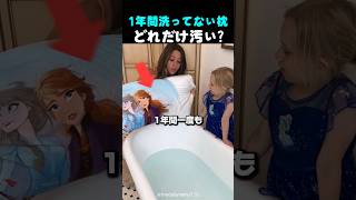 1年間洗ってない枕を水に浸けたら
