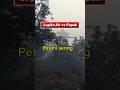 seri 1 air vs pupuk #shorts #diratani4114 #alpukat #kebunalpukat #fyp #faktaunik