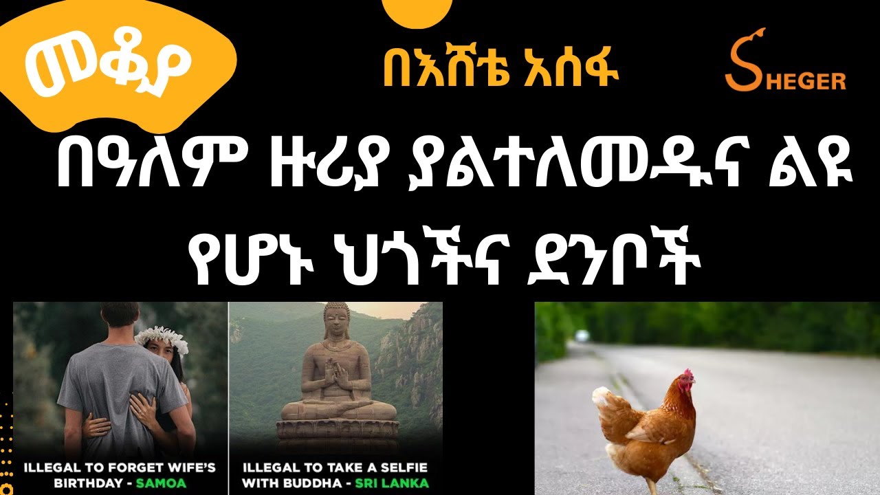 Mekoya - የሚደነቁ ህጎች! በእሸቴ አሰፋ  Eshete Assefa #Mekoya #EsheteAssefa