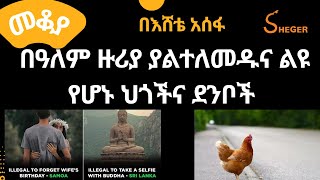 Mekoya - የሚደነቁ ህጎች! በእሸቴ አሰፋ  Eshete Assefa #Mekoya #EsheteAssefa