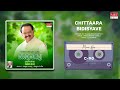 Chittaara Bidisyave | Maavu Bevu | Kannada Bhavageethegalu | S.P. Balasubrahmanyam | C. Aswath