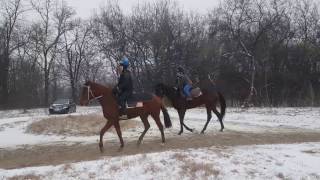 20170112 101826