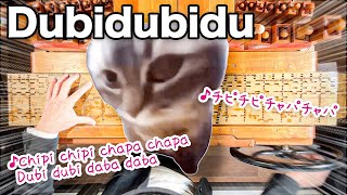 Video thumbnail of "猫ミームで有名な【チピチピチャパチャパ】手回しオルガンで弾いてみた♪【Dubidubidu / christell】"