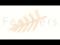 Feathers minecraft animation