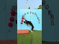 Who can pop 15 ballons while bending backward ?