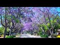 Rhodesville - Harare / Zimbabwe / Leafy Suburb / Cecil John Rhodes / Luxury Living