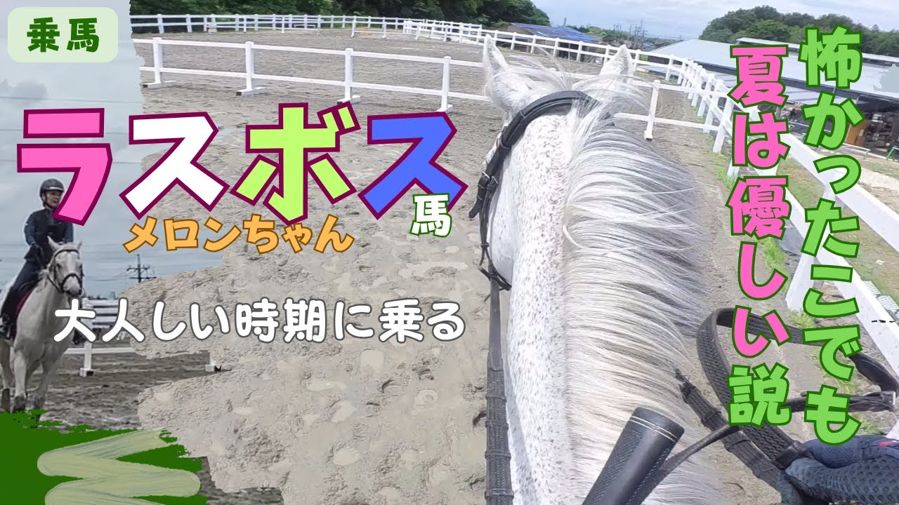 「乗馬」ラスボス