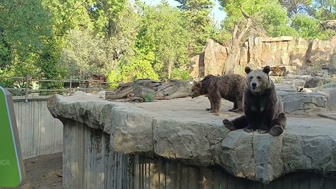 Parc zoologique, Madrid || Zoo park Madrid || Parque zoológico Madrid