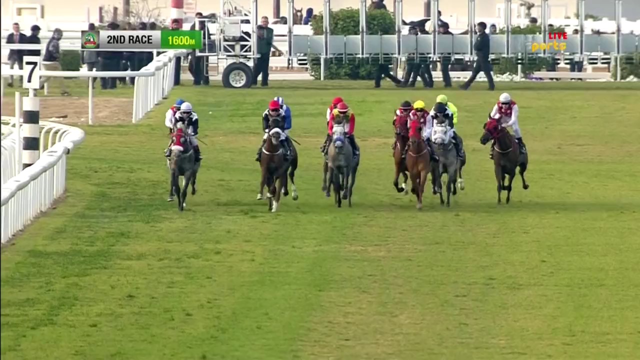 ميسور يفوز بالشوط الثاني لمسافة 1600 متر - مضمار أبوظبي