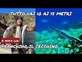 Pescasub  tanto pesce dai 10 ai 15 mt