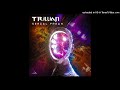 Trillian  serial freak original mix