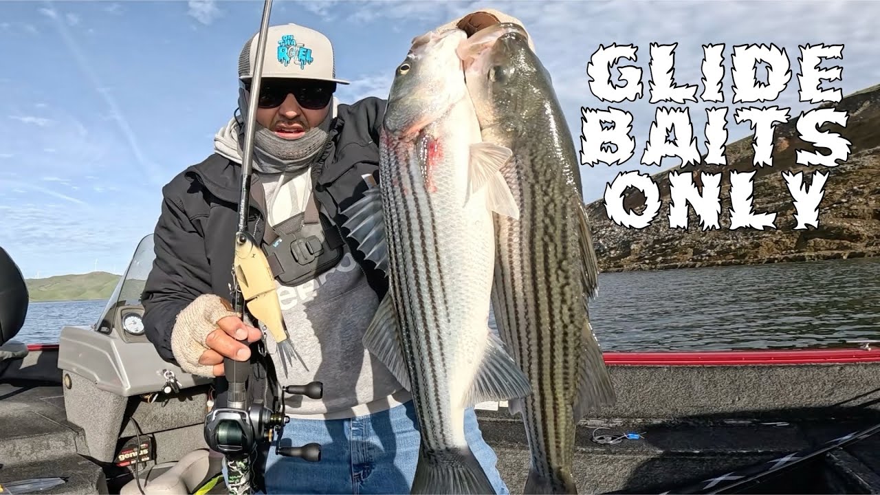 SAN LUIS RESERVOIR GLIDE BAITS ONLY FUN BITE