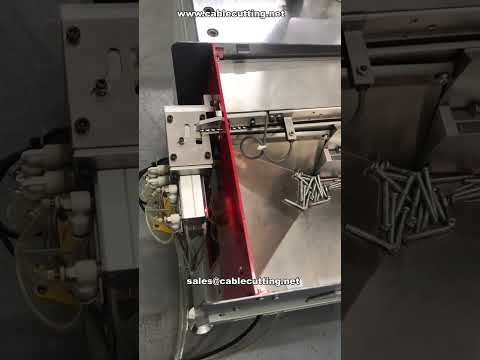 Universal Automatic Screw Feeder Up to 60mm Length | Customizable Equipment