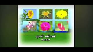 ไตเติ้ล กระจกหกด้าน 2552-2553 ช่อง 7 สี