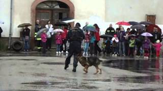 Policejní psovod III