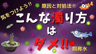 こんな濁り方はダメ