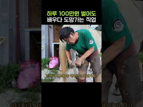 10명 배우면 1명만 살아남는 직업 thumbnail
